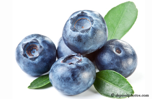 Largo chiropractic and nutritious blueberries